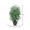 thumbnail image 2 of Vickerman 4' Artificial Ming Aralia Extra Full Bush, Gray Round Plastic Container., 2 of 3