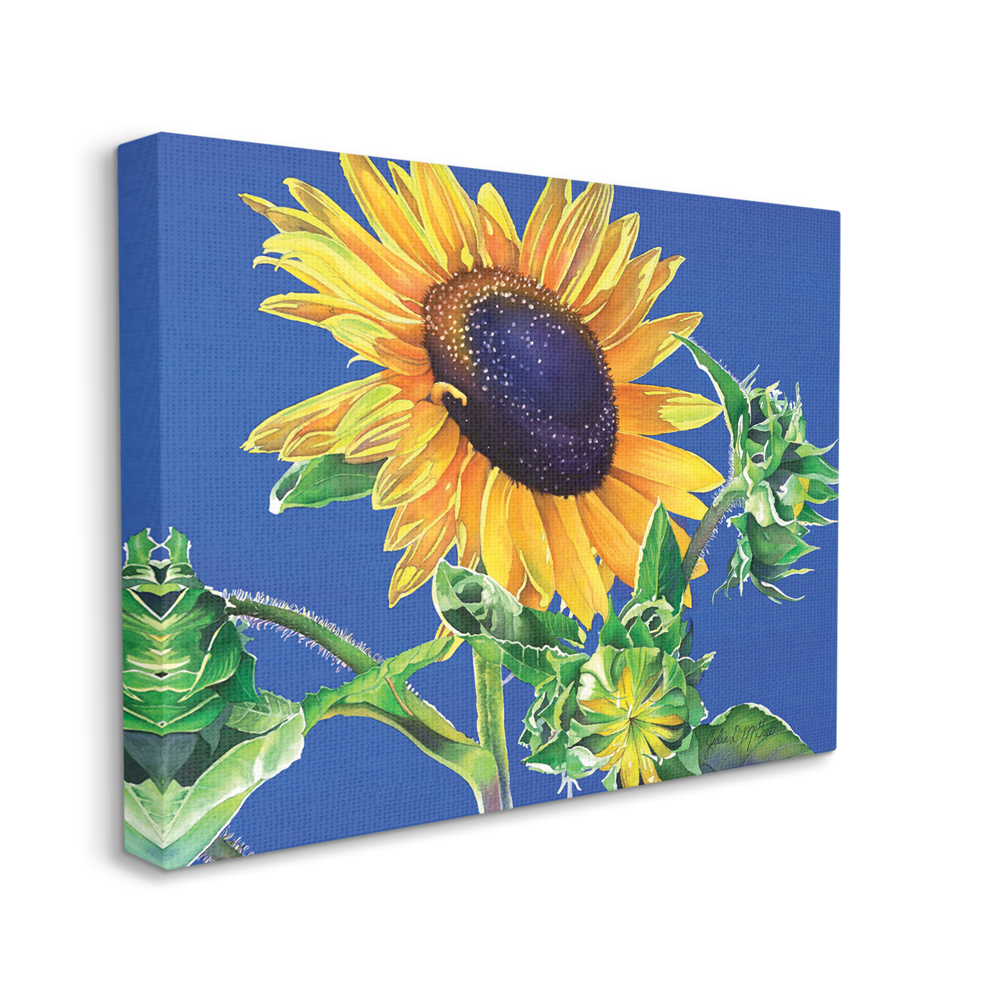 Stupell Industries Sunflower on Blue Botanical & Floral Photography Gallery Wrapped Canvas Print Wall Art, 30 x 24