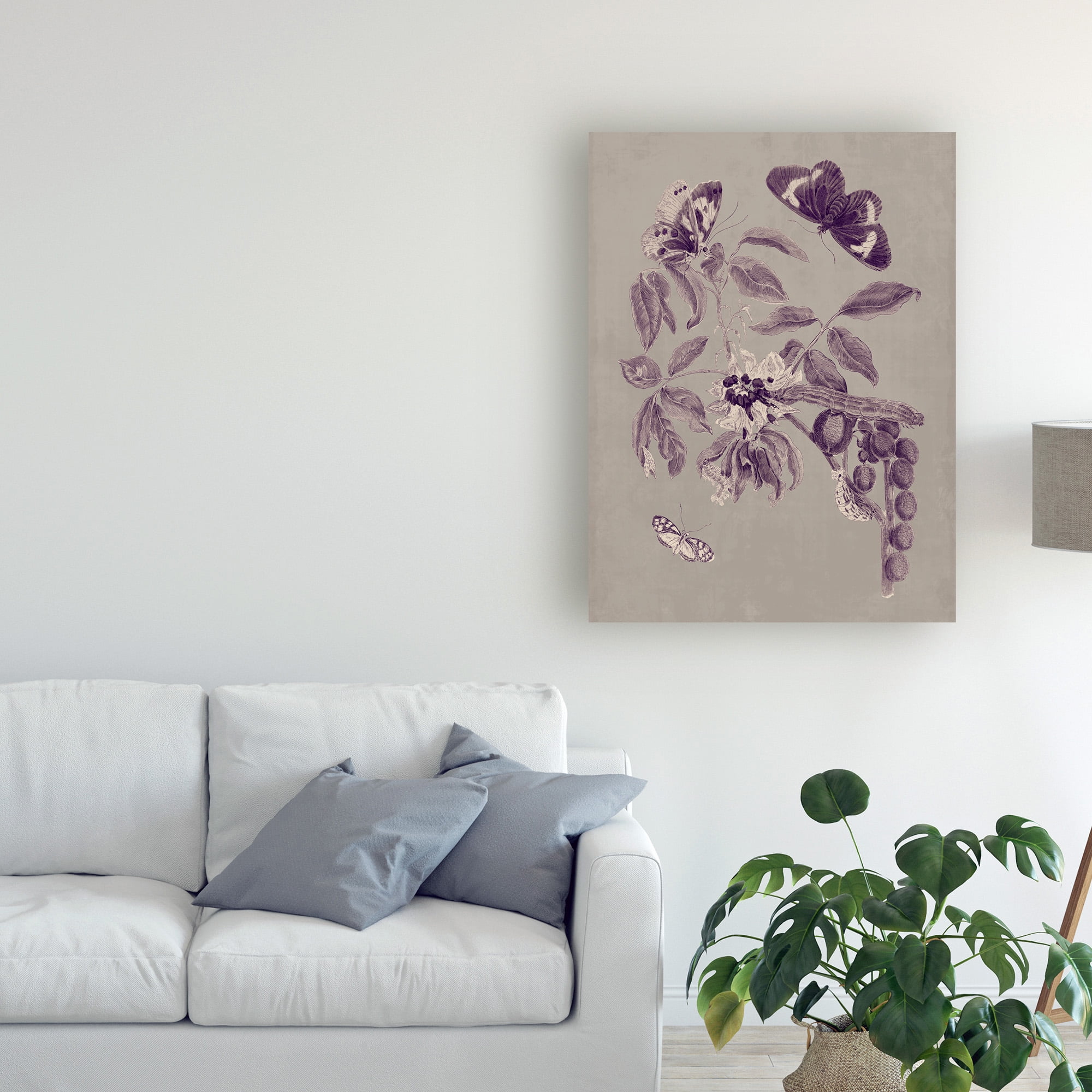 Trademark Fine Art 'Nature Study in Plum & Taupe II' Canvas Art by Maria S. Merian
