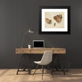 thumbnail image 4 of Giovanna Garzoni 23x20 Black Modern Framed Museum Art Print Titled - Two Butterflies and Another Insect, 4 of 5