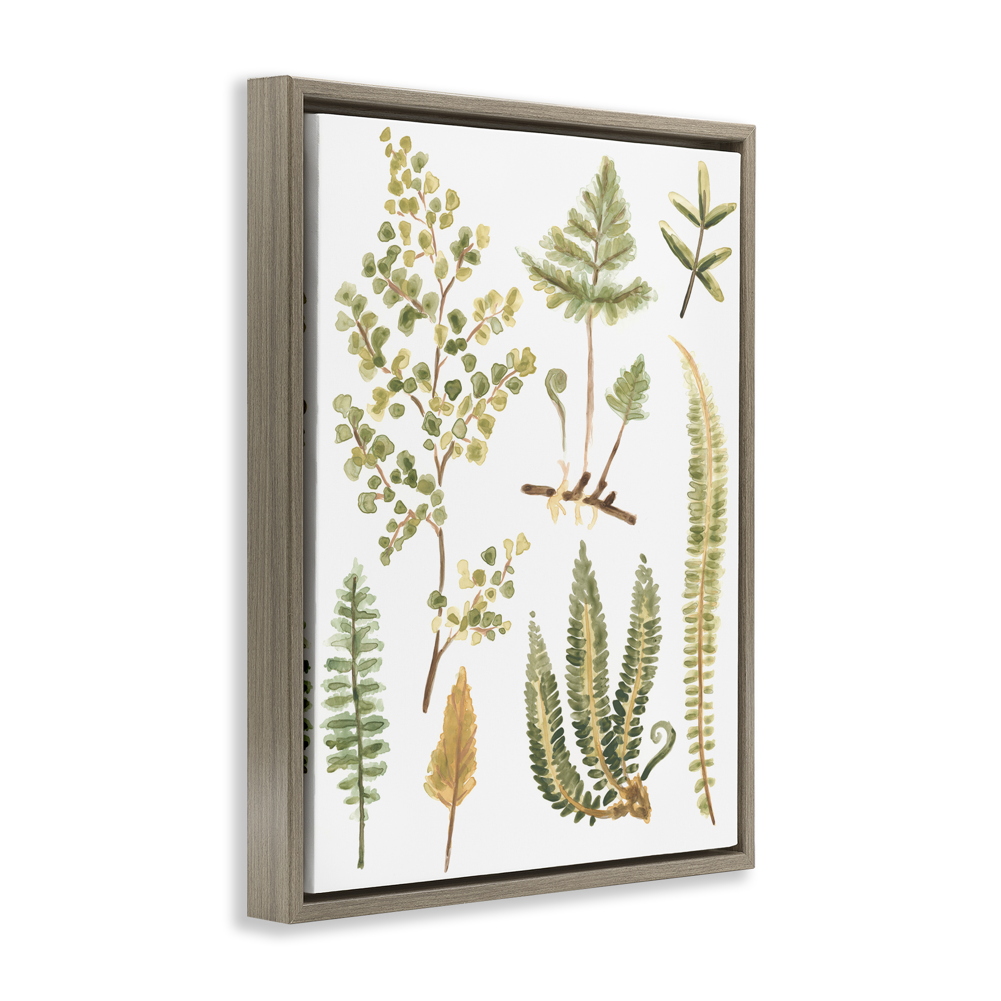 Stupell Industries Wild Forest Ferns Botanical & Floral Painting Brown Floater Framed Art Print Wall Art, 17 x 21