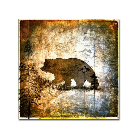 High Country Bear by LightBoxJournal, 24×24-Inch Canvas Wall Art