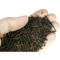 thumbnail image 3 of Josh's Frogs Tree Fern Fiber Substrate (10 Quarts), 3 of 4