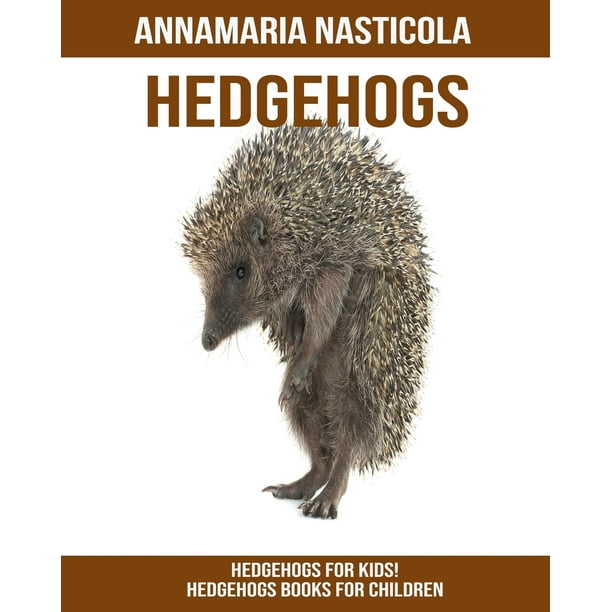 Hedgehogs for Kids! Hedgehogs Books for Children (Paperback) Walmart