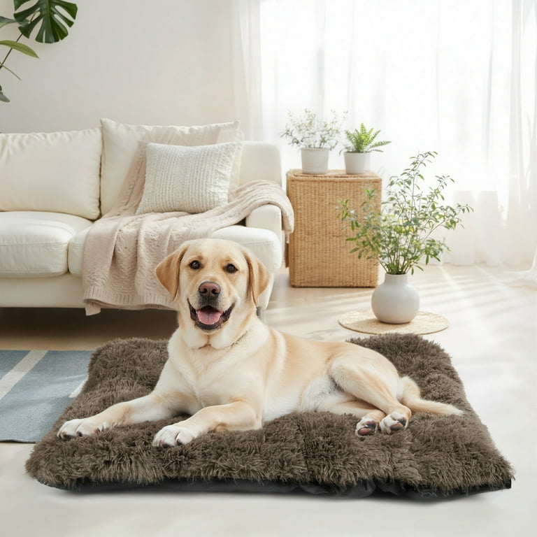 Katieovy Extra Large Plush Dog Bed, 50" x 34" photo 3