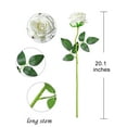 thumbnail image 3 of TETOU White Rose 10pcs Artificial Rose Flowers Silk Roses Real Touch for Party Bridal Wedding Bouquet Decor, 3 of 7
