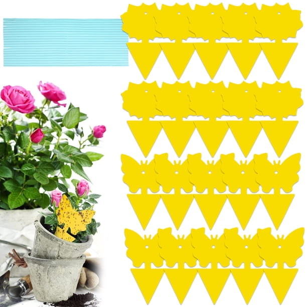Yous Auto 20 Trampas Amarillas Pegajosas para Moscas de la Fruta para Plantas de Interior, Cocina, Trampas Naturales Seguras para Mosquitos de Hongos, Atrapamoscas de la Fruta de Doble Cara para Uso en Plantas de Interior y Exterior