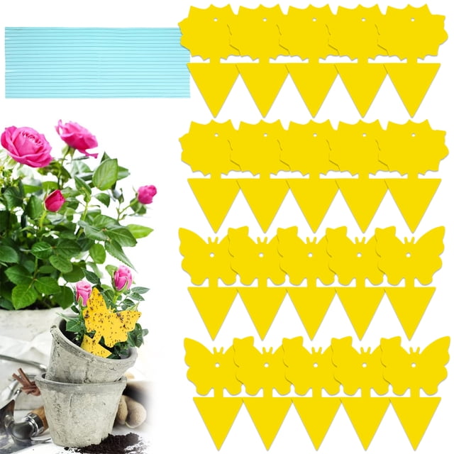 Yous Auto 20 Trampas Amarillas Pegajosas para Moscas de la Fruta para Plantas de Interior, Cocina, Trampas Naturales Seguras para Mosquitos de Hongos, Atrapamoscas de la Fruta de Doble Cara para Uso en Plantas de Interior y Exterior