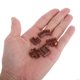 thumbnail image 5 of EXHUMKY 5Ud Micro Acuarios Plataforma Marrón Accesorios Multifuncionales Para Hogar, 5 of 6