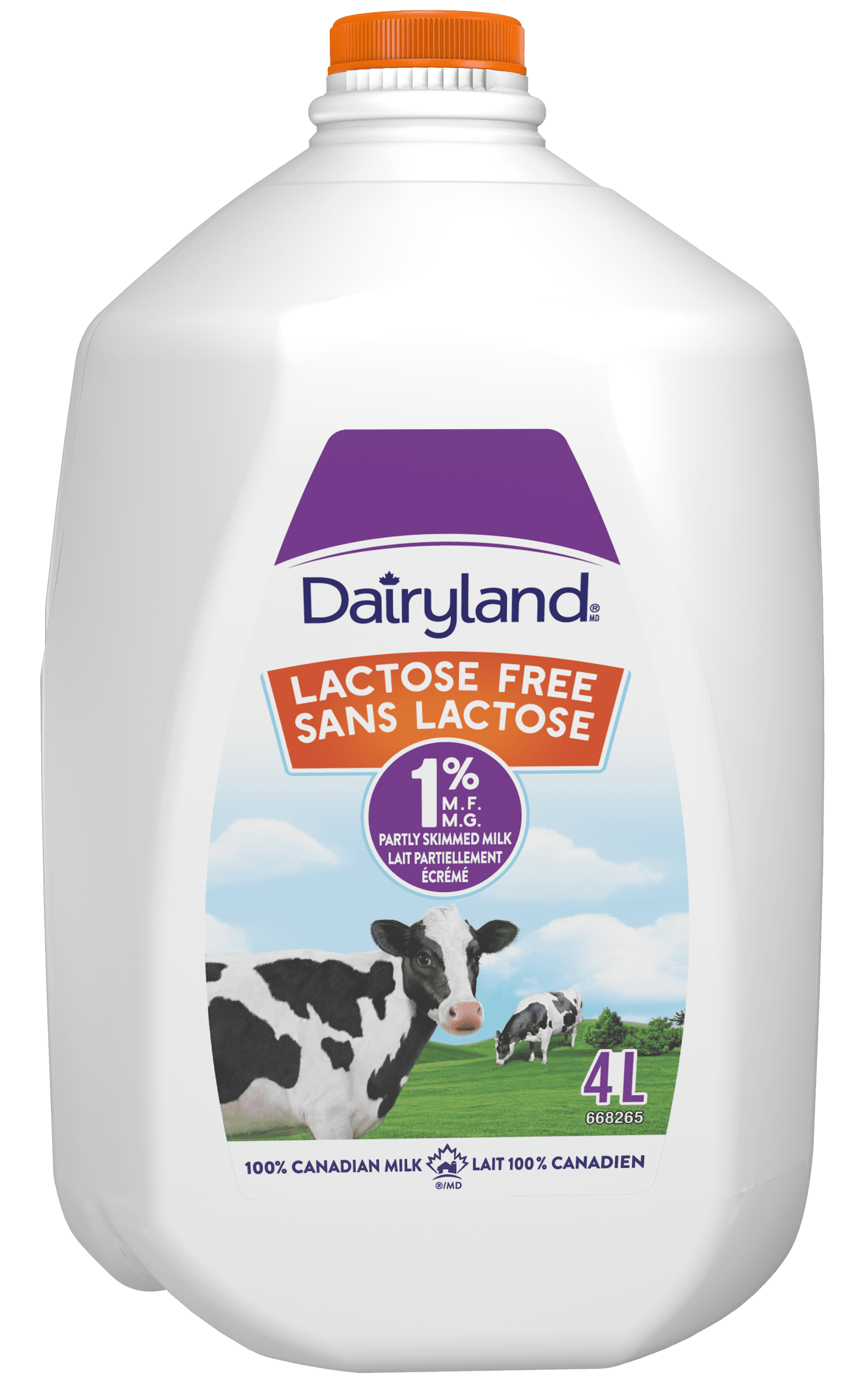 Dairyland Lactose free 1% Partly Skimmed Milk, 4L