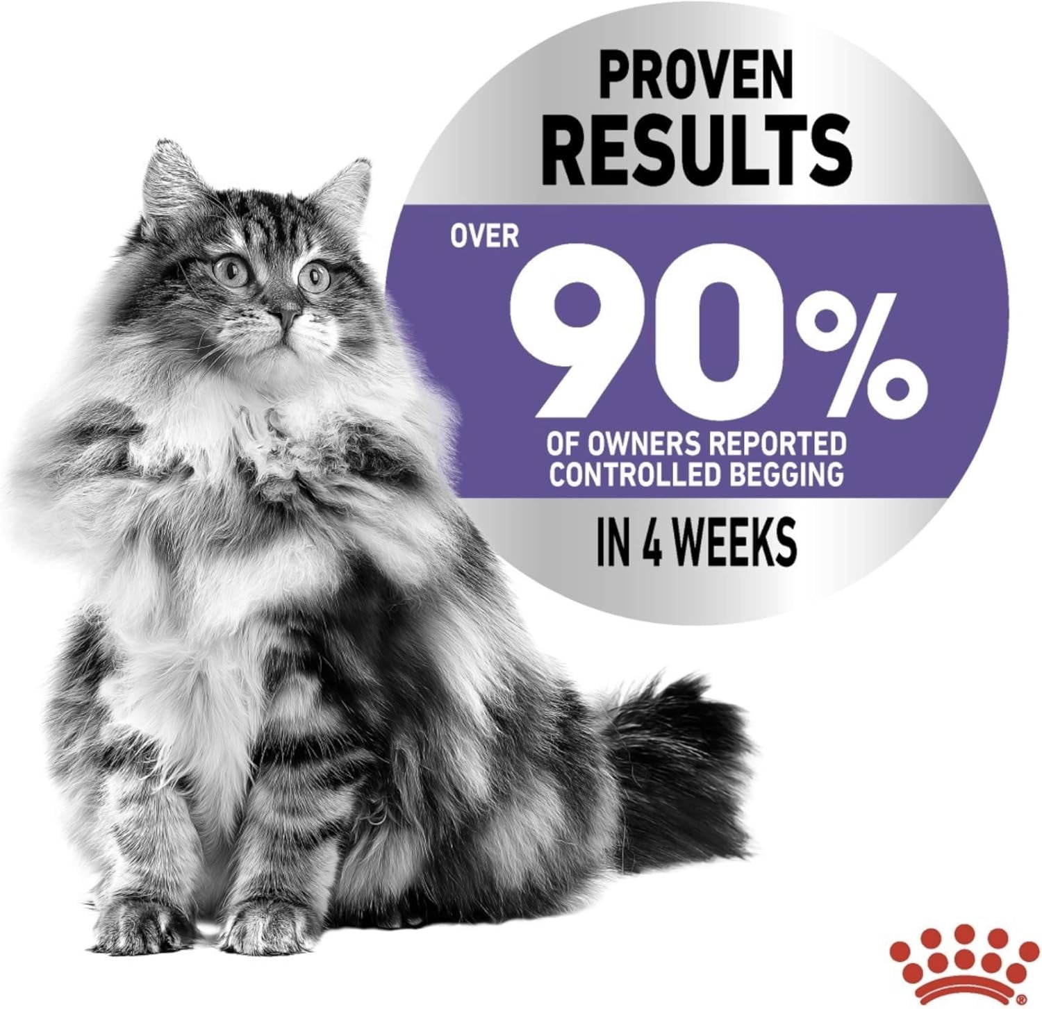 Royal Canin Appetite Control Cat Wet Food in Jelly 12x85g
