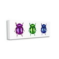 thumbnail image 4 of Stupell Industries Three Beetle Bugs Animals & Insects Painting Gallery Wrapped Canvas Print Wall Art, 24 x 10, 4 of 8