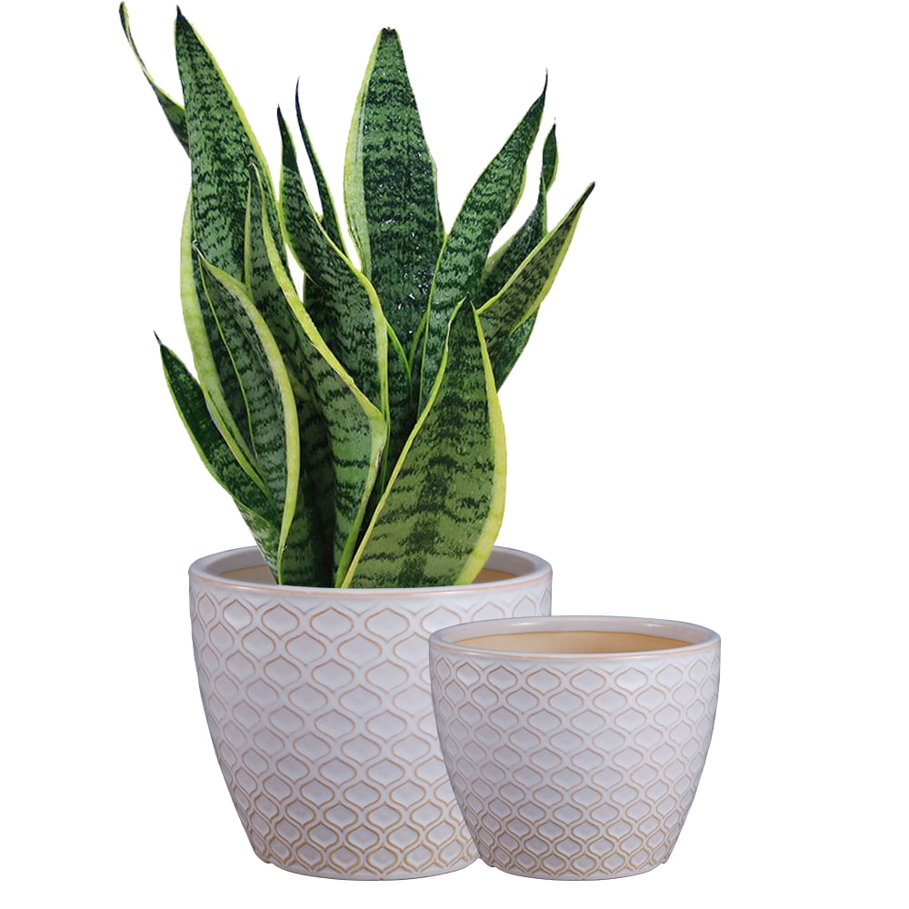 Ceramic Flower pots Garden Pots Succulent Cactus Planters with Drainage White 