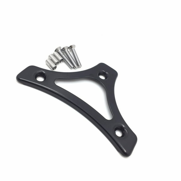 Sissy bar sale mounting kit