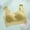 Green, variant on Ersazi Womens Bra Women Fashion Sports Lace Bra Wire Free Underwear one-Piece Bra Everyday Underwear Green Xl