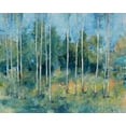 thumbnail image 2 of OToole, Tim 32x26 Black Ornate Wood Framed with Double Matting Museum Art Print Titled - Woodland View I, 2 of 4