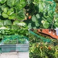 thumbnail image 5 of Tutuviw Anti Bird Netting Trellis Netting Plastic Trellis Netting Garden Netting Protect Fruit and Vegetables from Birds and Animals(Green 13.2 x 19.8 Feet), 5 of 8