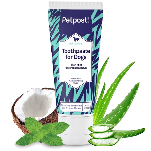 Petpost Toothpaste for Dogs - Natural Coconut Oil & Baking Soda Dental Gel - Mint Flavored Breath Freshener & Plaque Remover - Safe to Swallow