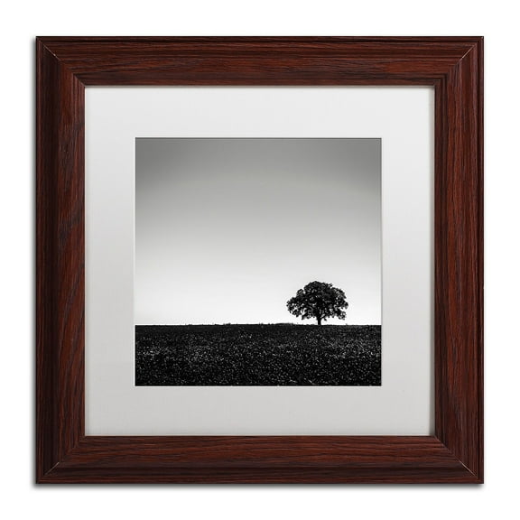 "One Tree Hill" Canvas Art by Dave MacVicar, White Matte, Wood Frame