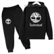 thumbnail image 2 of Sudadera con capucha para niños, chándales para niño y niña, primavera, otoño e invierno, conjunto de ropa con capucha, pantalones, traje para niños, 2 of 5