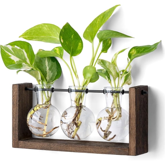 Plant Propagation Station with Wooden Stand, Wall Hanging Glass Planter Tabletop Terrarium Bulb Vase for Hydroponics Plants Home Office Decor