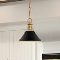 thumbnail image 3 of Nuvo Lighting Outpost 1 Light Small Pendant Matte Black with Burnished Brass, 3 of 5