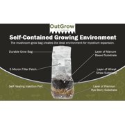 All in One Mushroom Grow Bag - Manure Based, 2 Pack