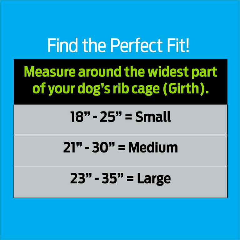 How to Measure a Dog: Finding the Perfect Fit