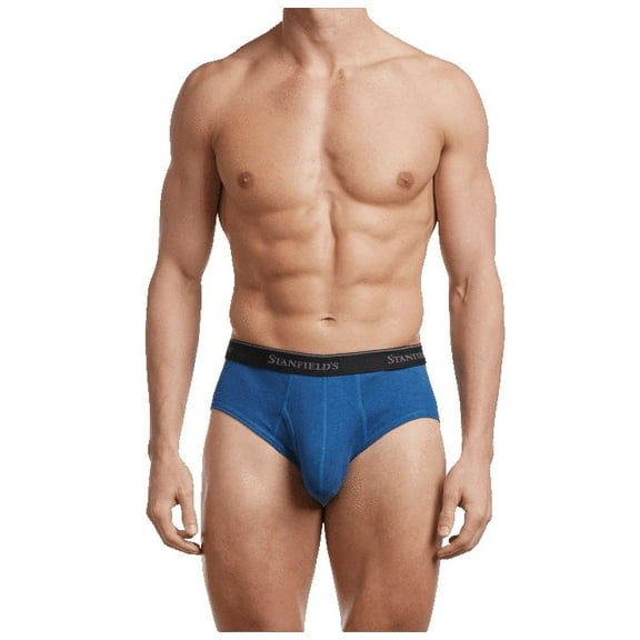 Stanfield's 2-Pack Adult Mens Premium Cotton Low Rise Briefs, Sizes S-XL