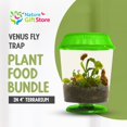 thumbnail image 2 of Planta con trampa para moscas Venus de la marca Live, con terrario verde de 4,5 cm y comida, 2 of 7