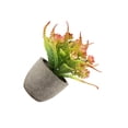thumbnail image 1 of Advancent Árbol artificial del dinero de la durabilidad duradera verde en aspecto realista respetuoso del medio ambiente del pote Decoración Rosa roja, 1 of 6