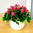 thumbnail image 6 of Artificial Succulents Mini Realistic Fake Plants with Plastic Pots for Home and Office Decoration 1 Set Artificial Bonsai Non-fading Practical Plastic Simulation Pine Cone Plants, 6 of 8
