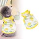 thumbnail image 2 of Lo último en moda: Viste a tu mascota a la perfección con nuestra ropa, 2 of 5