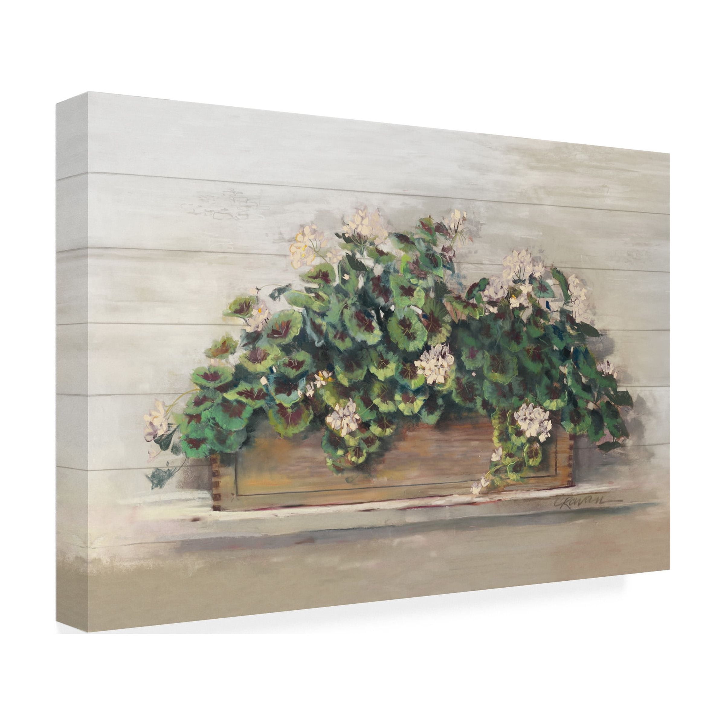 Trademark Fine Art 'Market Geraniums Crop' Canvas Art by Carol Rowan