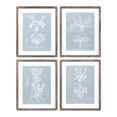 thumbnail image 1 of Estampado floral (juego de 4) 15.75" L x 19.5" H MDF/madera/papel/vidrio, 1 of 1