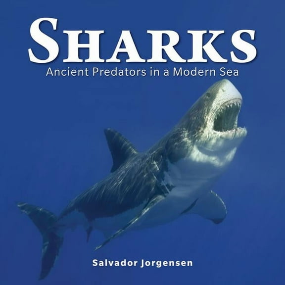 Sharks: Ancient Predators in a Modern Sea, (Paperback)