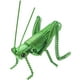 thumbnail image 1 of Simulación Modelo de saltamontes simulación de saltamontes, 1 of 5