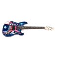 thumbnail image 1 of Sports Vault NENFL13 Houston Texans Northender Guitare, 1 of 1
