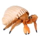 thumbnail image 5 of Juguete de simulación de cangrejo ermitaño, 1 pieza Simulación de cangrejo ermitaño Modelo de cangrejo ermitaño Juguete de cangrejo ermitaño adaptado para la perfección, 5 of 8