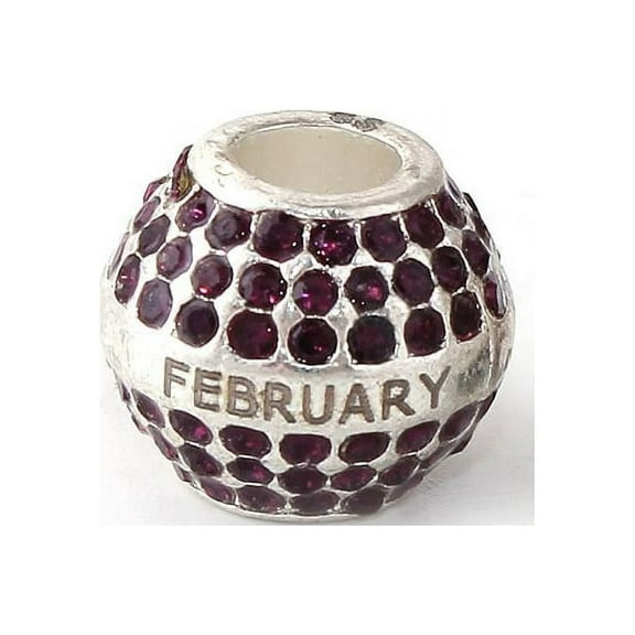 Sexy Sparkles Rhinestones February Birthday Birthstone With Month Engraved on Charms for Snake Chain Charm Bracelet, Zink Metal Alloy