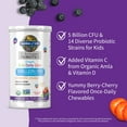 thumbnail image 4 of Garden of Life Dr. Formulated Kids Organic Daily Care Probiotics, 5 Billion CFU for Immune and Digestive Health, Berry Cherry Chewables, 30ct, 4 of 11