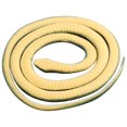 thumbnail image 1 of Juguete de Serpiente de Goma Suave de 130cm, Broma Divertida para Halloween, Burlarse de Amigos en Fiestas, Juguete de Broma Novedoso para Material de Goma Divertido, 1 of 7