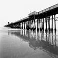 thumbnail image 2 of Lee Peterson 4x24 White Modern Wood Framed Wall Art Titled - Pier Pilings XXI, 2 of 5