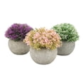thumbnail image 2 of Mini Plantas En Macetas Artificiales, Plantas En Macetas Falsas Decorativas Para Sala De Estar, 2 of 7