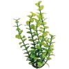 Tetra Water Wonders Fresh Water Plant, Green Bacopa