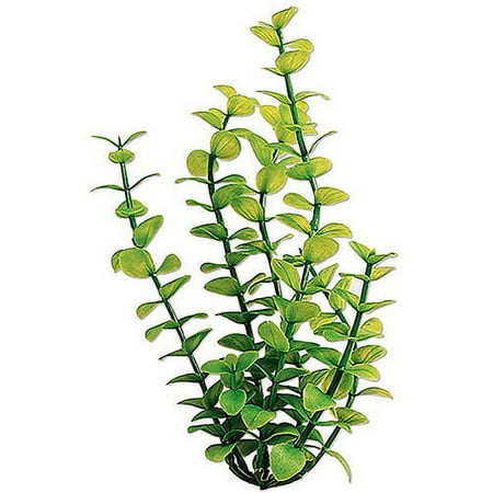 Tetra Water Wonders Fresh Water Plant, Green Bacopa