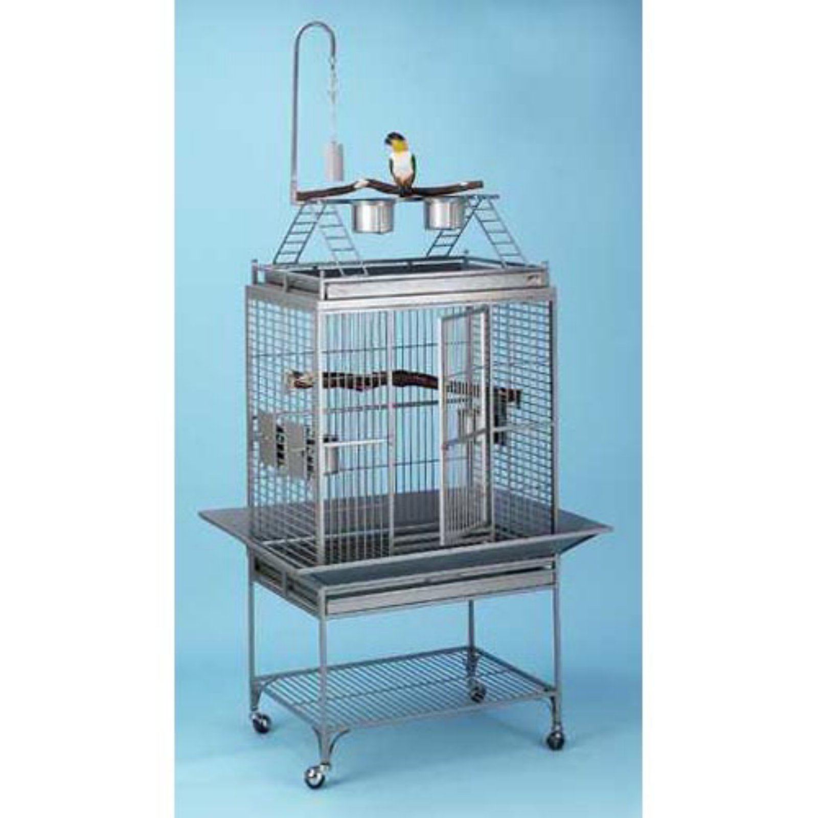 avian adventures chiquita dometop bird cage