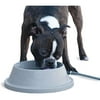 K&H Pet Products Thermal-Bowl Outdoor Heated Cat & Dog Water Bowl Gray 32 Ounces