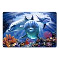 thumbnail image 1 of Steve Sundram Art SUN076 12 x 18 in. Dolphin Cave Satin Metal Sign, 1 of 1