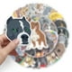 thumbnail image 2 of Paquete de pegatinas American Bully Dog, 50 unidades, vinilo impermeable, 2 of 2